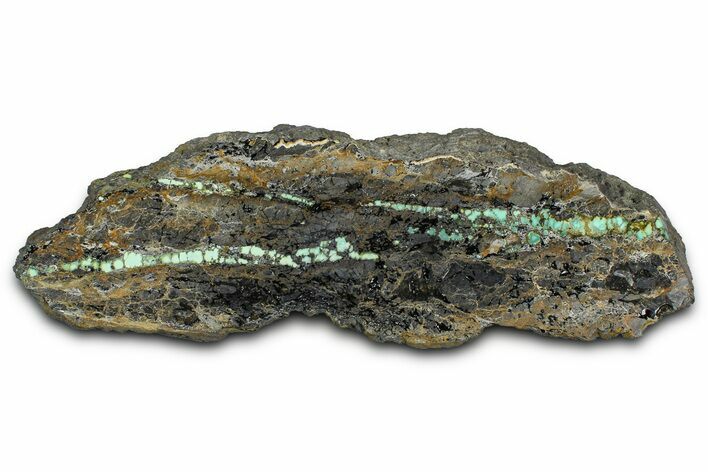 Polished Turquoise in Matrix Slab - Nevada #371570